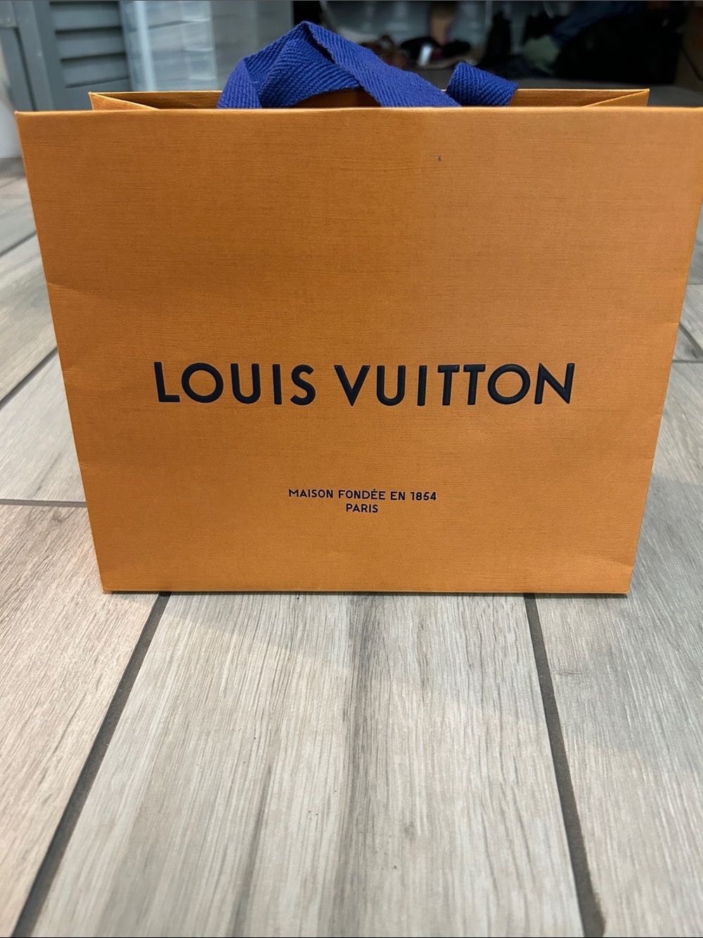 Louis Vuitton shopping bag